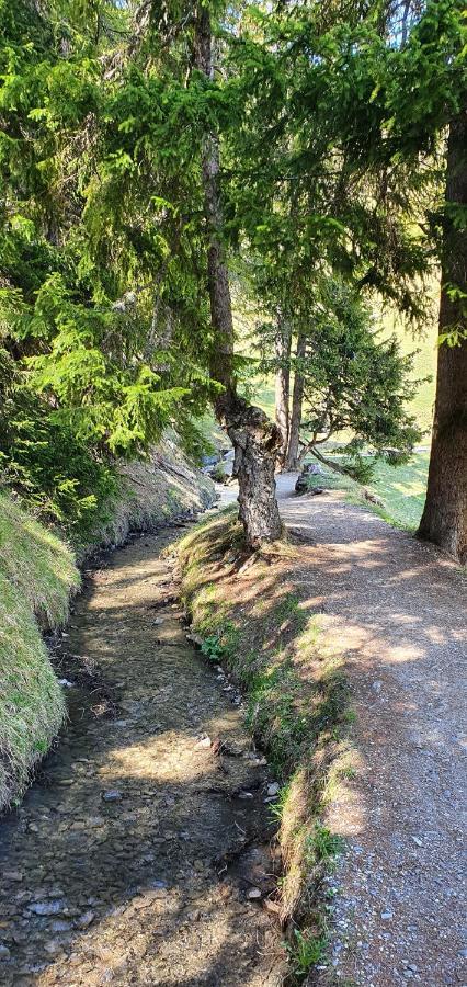 Un Moment De Detente Inoubliable Saillon-Les-Bain Eksteriør billede